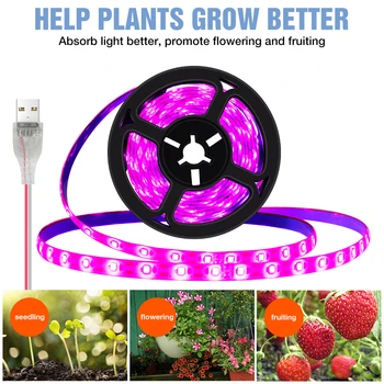 הצמח מקורה לגדול אור הרצועה 1M 2M 3M פרח זרע צמיחה מנורת LED Full Spectrum שתיל פיטו אורות USB הידרופוניקה Lampada