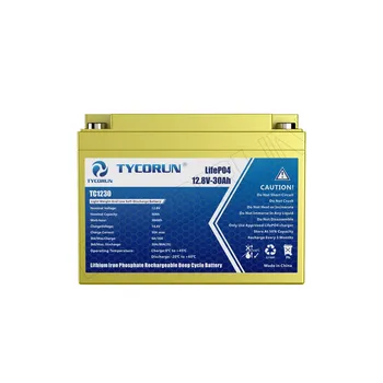 Tycorun סולארי סוללה ליתיום-יון 12V100 אה סוללת LiFePO4 על עגלת גולף קמפינג